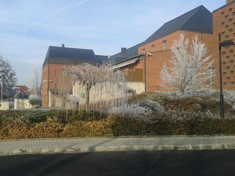Park Vendeghaz Hotel Herend Eksteriør billede